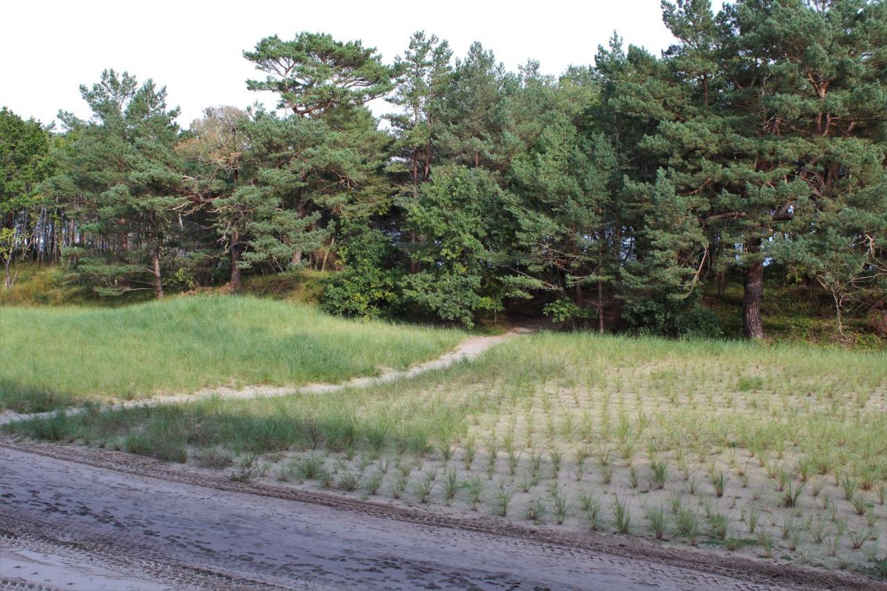 Bruchbude Mit Meerblick 宾茨 外观 照片